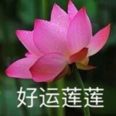 我的世界史莱姆版本下载